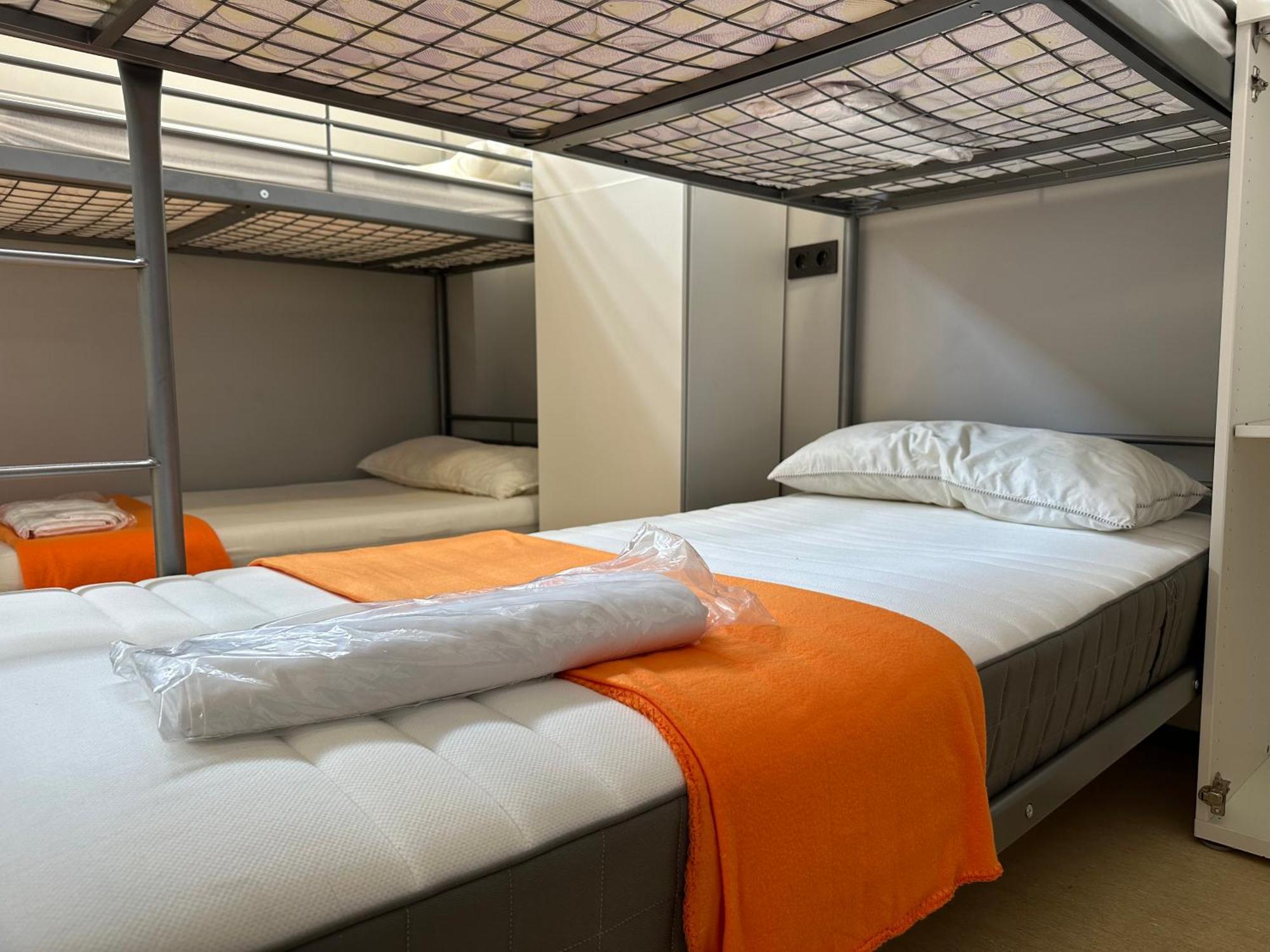 Bunk Bed Mixed Dormitory Room